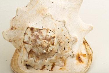 Similar image 7847334