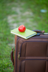 Similar image 7847340