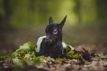 Similar image 7847343