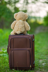 Similar image 7847344