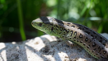 Similar image 7847413