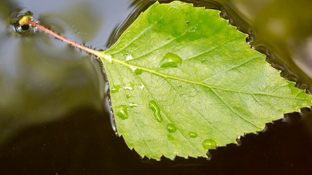 Similar image 7847415