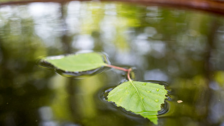 Similar image 7847422