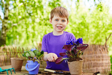 Similar image 7847561