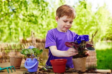 Similar image 7847562