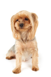 Similar image 7847627