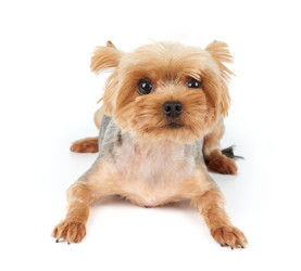 Similar image 7847631