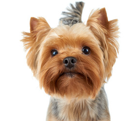 Similar image 7847636