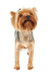 Similar image 7847637