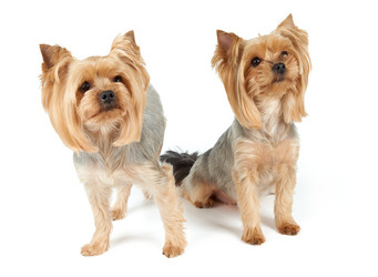 Similar image 7847641