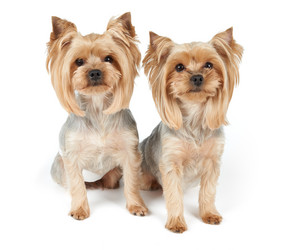 Similar image 7847642