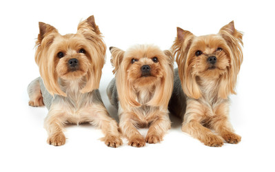 Similar image 7847645