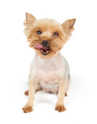 Similar image 7847647