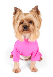 Similar image 7847651