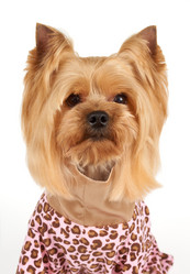 Similar image 7847654