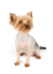 Similar image 7847658