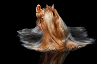 Similar image 7847664