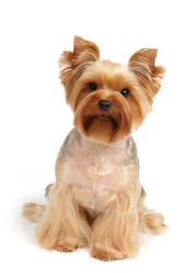 Similar image 7847665