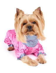 Similar image 7847668