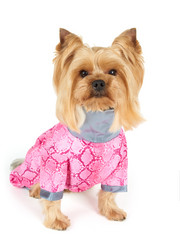 Similar image 7847669