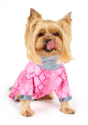 Similar image 7847671