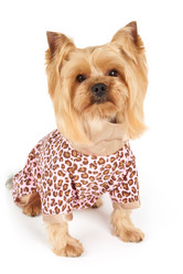 Similar image 7847672