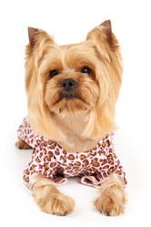 Similar image 7847674