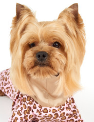 Similar image 7847675