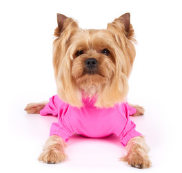 Similar image 7847676