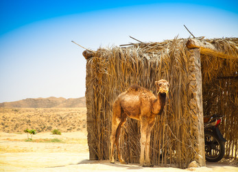 Similar image 7847698