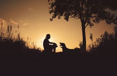 Similar image 7847769