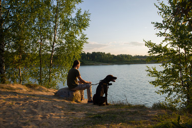 Similar image 7847771