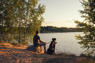 Similar image 7847772