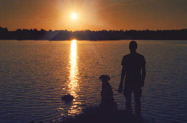 Similar image 7847774