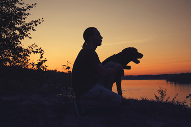 Similar image 7847788