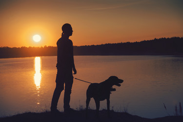 Similar image 7847789