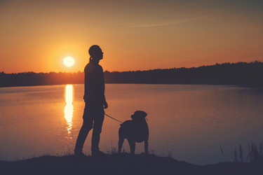 Similar image 7847790