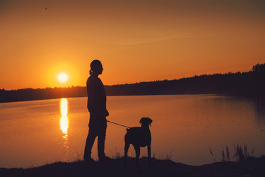 Similar image 7847791