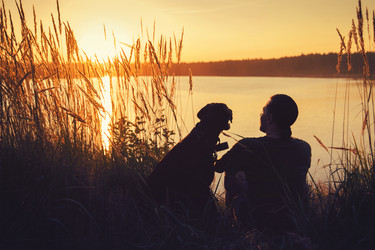 Similar image 7847793