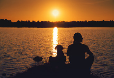 Similar image 7847796