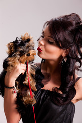 Similar image 7848313