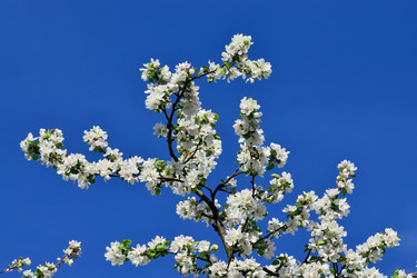 Similar image 7858233