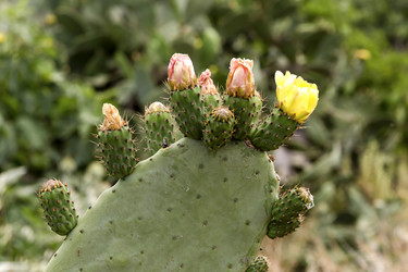 Similar image 7858264