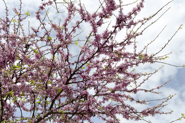 Similar image 7858265