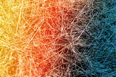 Similar image 7858836