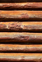 Similar image 7858841