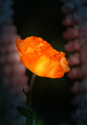 Similar image 7858842