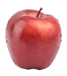 Similar image 7859016