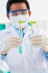 Similar image 7859040