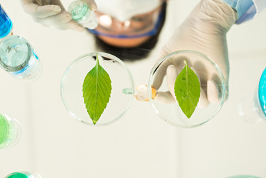 Similar image 7859042